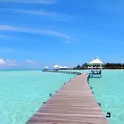 小嘚瑟样