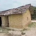 七七爱胖胖