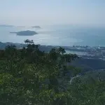 ╰づ淡淡奇异果味ぺ
