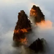 心海寻岸