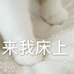 夜深忽梦少年事♡