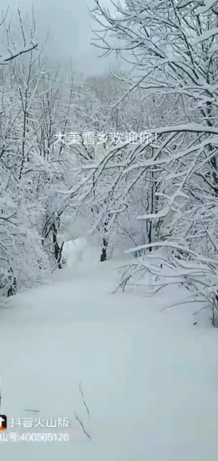 狼哥家乡，大美雪乡欢迎你
