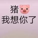 🎀年少轻狂🎀