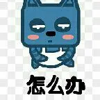 愿得一人心呢！