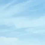 退了☀