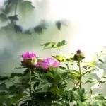 ~亮扭~