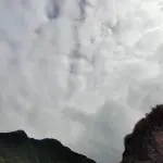 🍎猜猜
