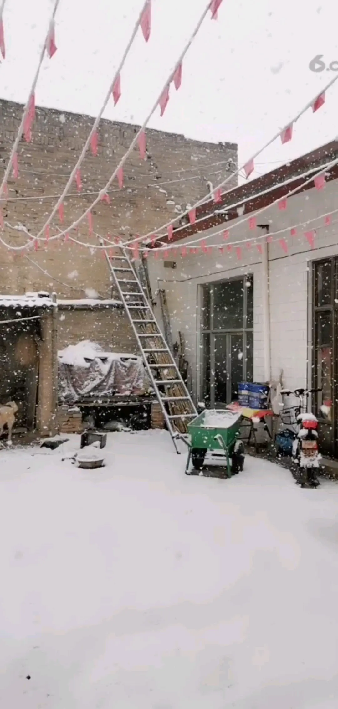 鹅毛大雪