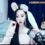 阿拉斯加不撕家