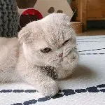 *无聊没意思*