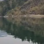 暖阳在国外