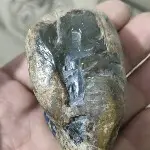 小小雪茄🐠