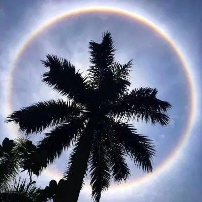 爱乔劲舞的主播照片