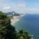 子梵@