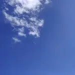 阿♥狼