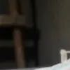 。620