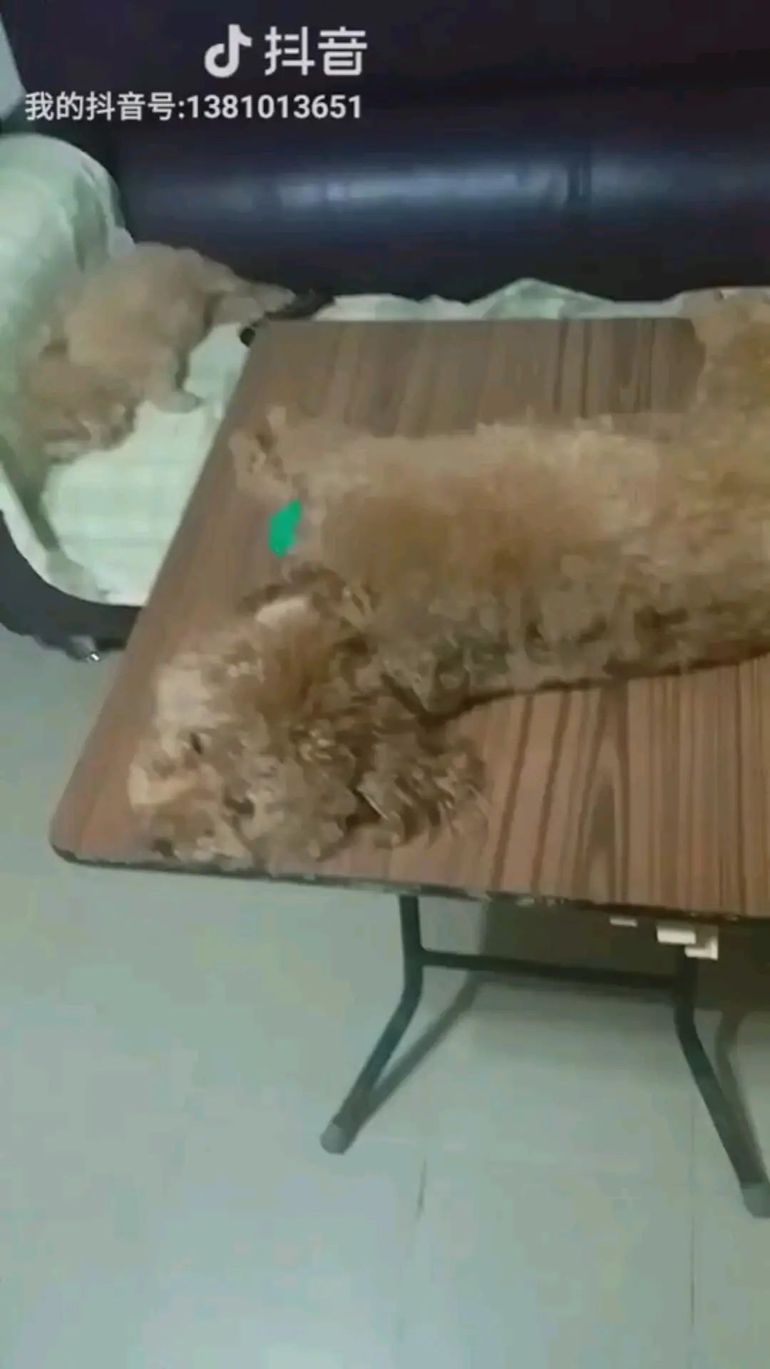 自家拍