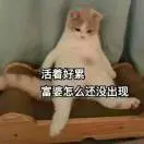 *向幸福追寻*