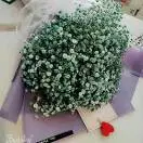 邱芳芳刁了