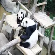 👉👉戒👈👈