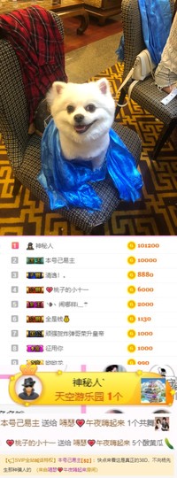嘚瑟💗的图片