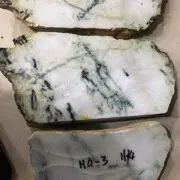 阳笨笨
