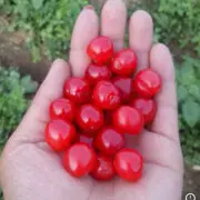 封存纪念