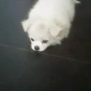 温柔形的