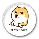 调视频的飞音