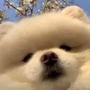 8897时秋～