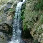 ℡★☆独飘♭かつ