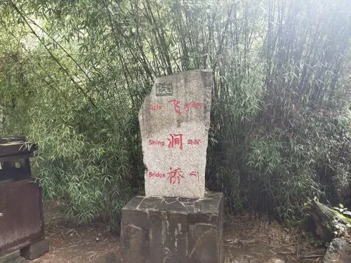 二娃在重庆找婆姨的图片