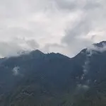 ～ゝ虫児飞．灬