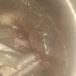 K钓鱼人