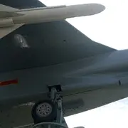 ☞酒醉的蜜蜂☜
