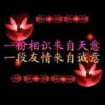 不☀语