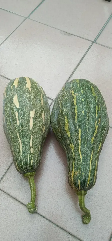 ⭐叁⭐爷🌟的图片