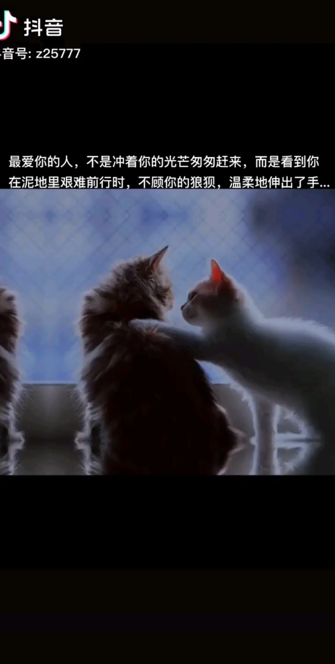最爱你的人，不是冲着