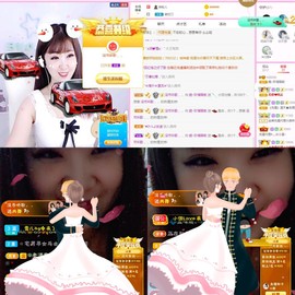 一只雁~的图片