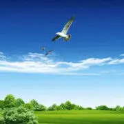 潇洒人生fo3