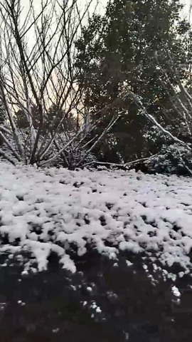 凑美没人爱的图片