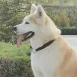 那些与我无关