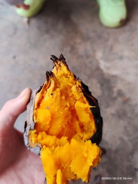 凑美没人爱的图片