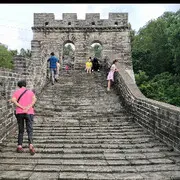 一缕执念游红尘