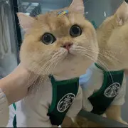 ★阳光味道