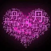丹恋一心