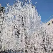 辽宁小刚刚