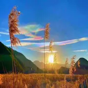 与影相伴6