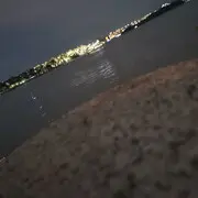 梦中再无她