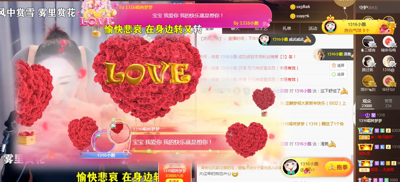 萌萌的小鹏主播图片